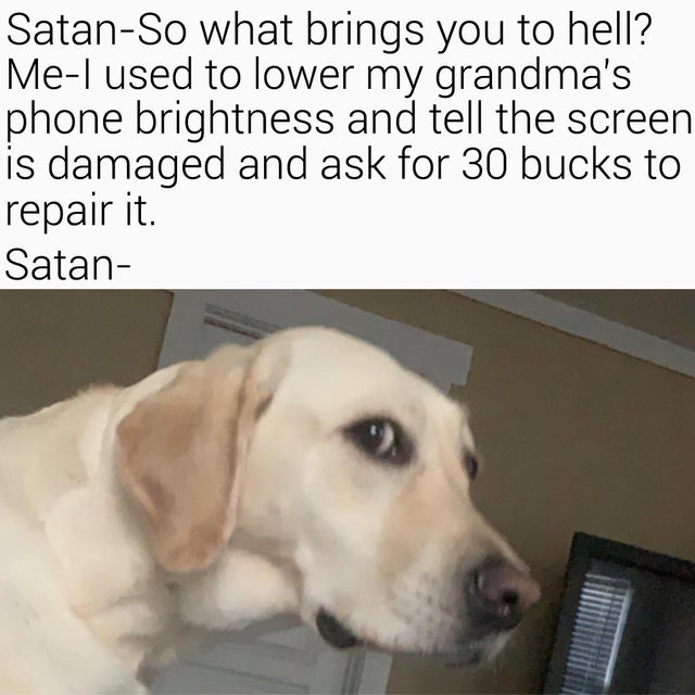 dog reaction meme - SatanSo what brings you to hell? MeI used to lower my grandma's phone brightness and tell the screen is damaged and ask for 30 bucks to repair it. Satan