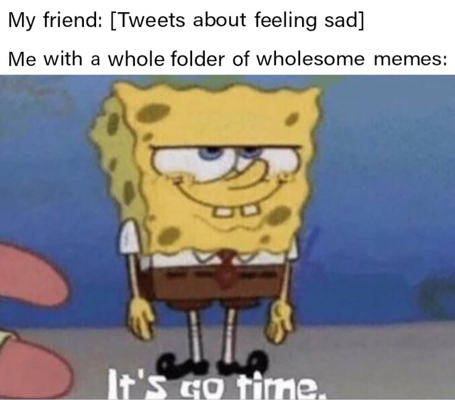 you follow her she follows you back - My friend Tweets about feeling sad Me with a whole folder of wholesome memes It's Go time