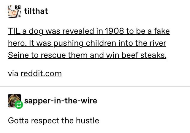 angle - Ketilthat Su Til a dog was revealed in 1908 to be a fake hero. It was pushing children into the river Seine to rescue them and win beef steaks. via reddit.com sapperinthewire Gotta respect the hustle