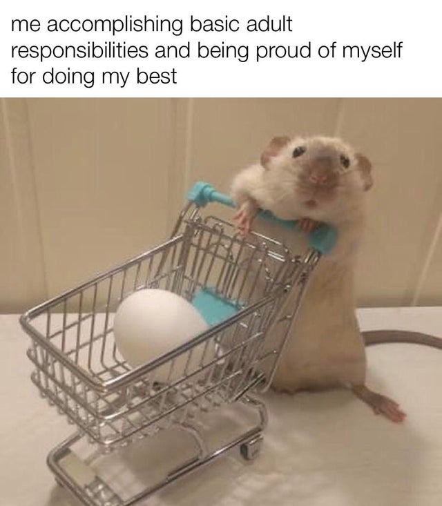 rat - me accomplishing basic adult responsibilities and being proud of myself for doing my best