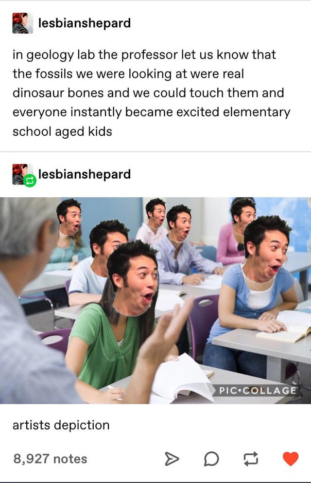 new zealand english classroom - lesbianshepard in geology lab the professor let us know that the fossils we were looking at were real dinosaur bones and we could touch them and everyone instantly became excited elementary school aged kids lesbianshepard P