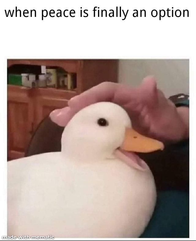 duck meme - when peace is finally an option made with mematic