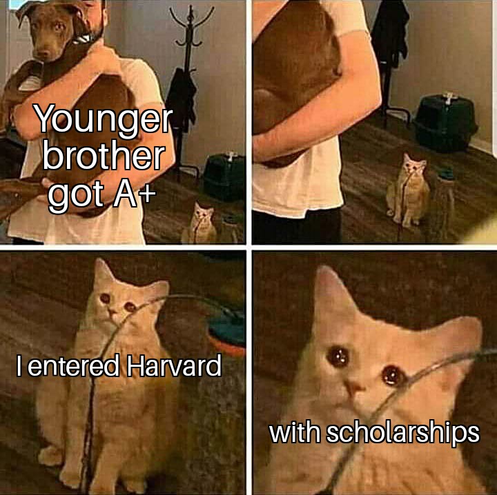 australia burning memes - Younger brother got A Tentered Harvard with scholarships