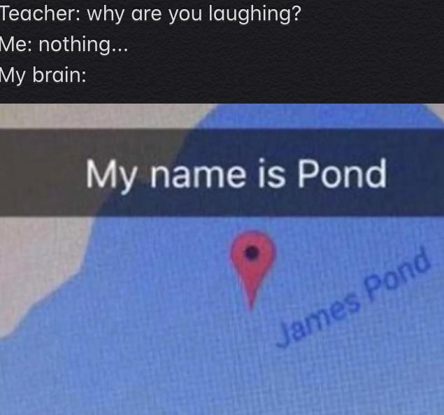 material - Teacher why are you laughing? Me nothing... My brain My name is Pond James Pond
