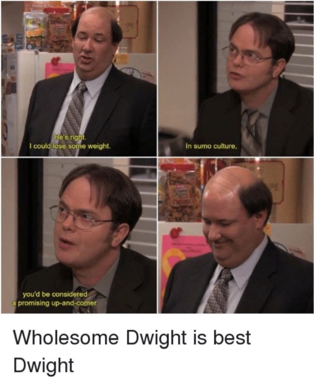 dwight memes - He's right I could lose some weight. In sumo culture, you'd be considered a promising upandcomer, Wholesome Dwight is best Dwight