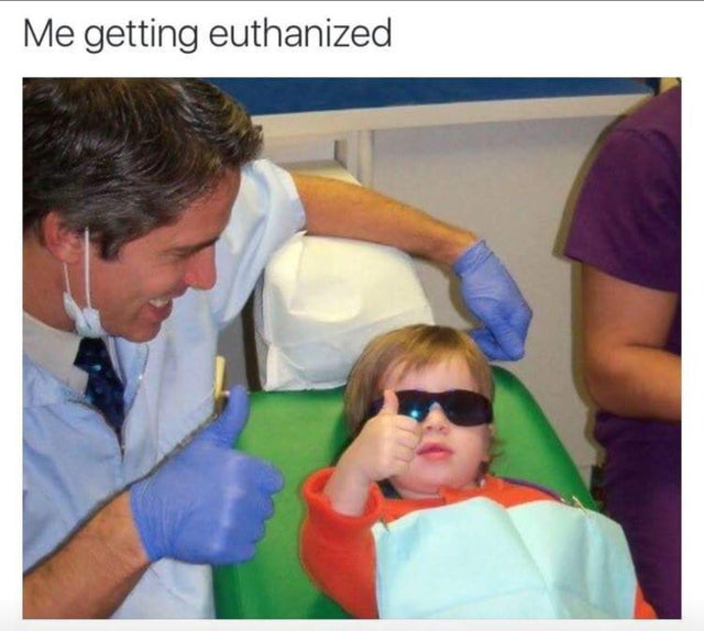 me getting euthanized meme - Me getting euthanized