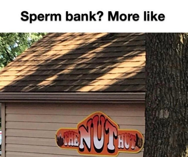 Humour - Sperm bank? More Tenuthu