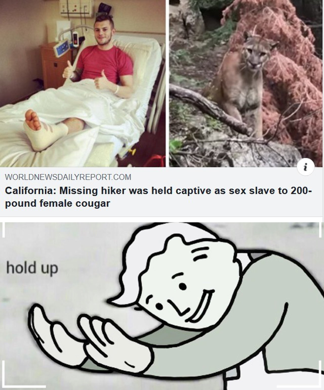 Internet meme - Worldnewsdailyreport.Com California Missing hiker was held captive as sex slave to 200 pound female cougar hold up