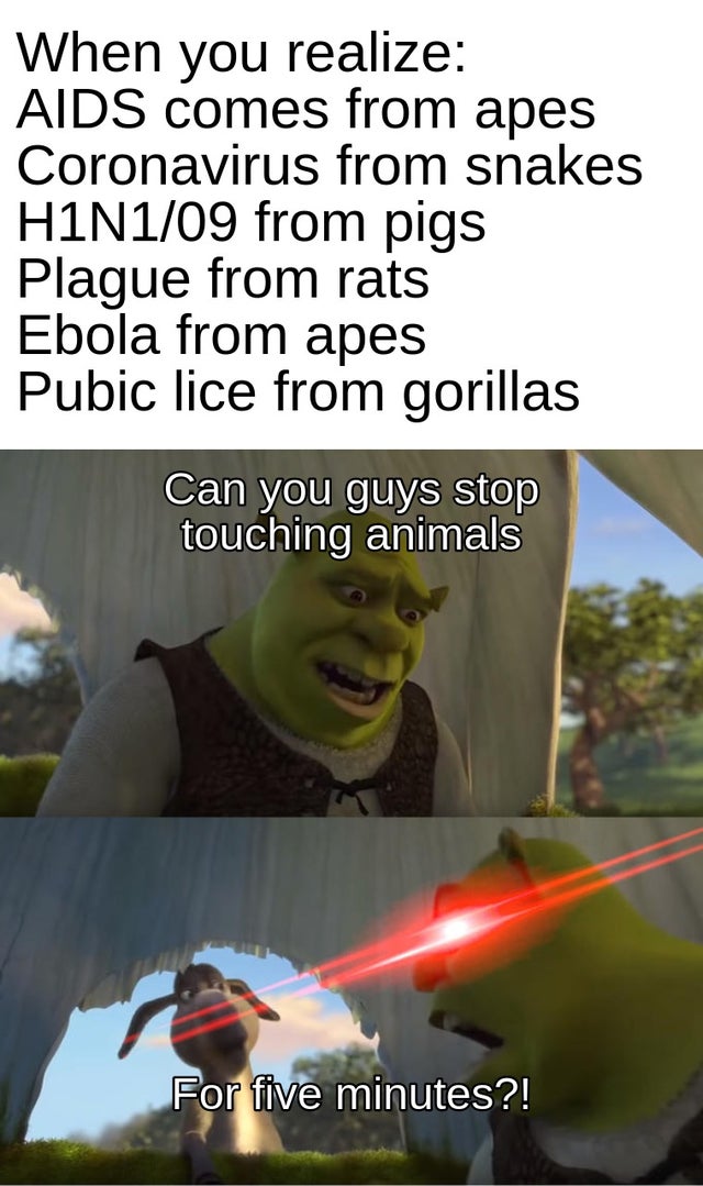 can you not for five minutes meme template - When you realize Aids comes from apes Coronavirus from snakes H1N109 from pigs Plague from rats Ebola from apes Pubic lice from gorillas Can you guys stop touching animals For five minutes?!