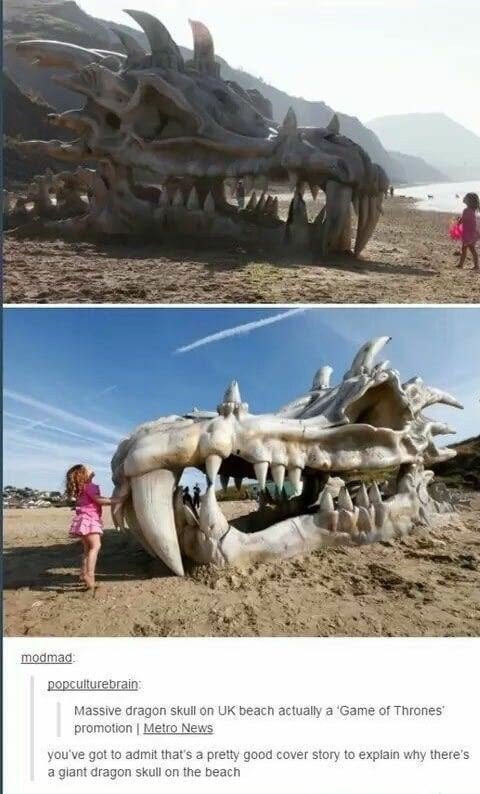 dragon skull on beach - modmad popculturebrain Massive dragon skull on Uk beach actually a 'Game of Thrones promotion | Metro News you've got to admit that's a pretty good cover story to explain why there's a giant dragon skull on the beach