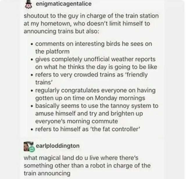 document - enigmaticagentalice shoutout to the guy in charge of the train station at my hometown, who doesn't limit himself to announcing trains but also on interesting birds he sees on the platform gives completely unofficial weather reports on what he t
