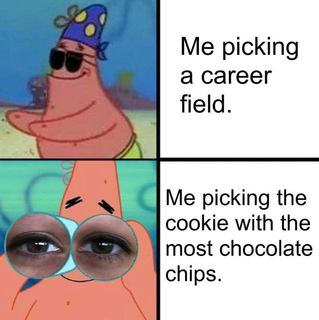 spongebob memes clean - Me picking a career field. Me picking the cookie with the most chocolate chips.
