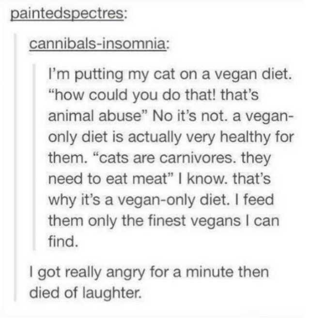 document - paintedspectres cannibalsinsomnia I'm putting my cat on a vegan diet. "how could you do that! that's animal abuse" No it's not. a vegan only diet is actually very healthy for them. "cats are carnivores, they need to eat meat" I know. that's why