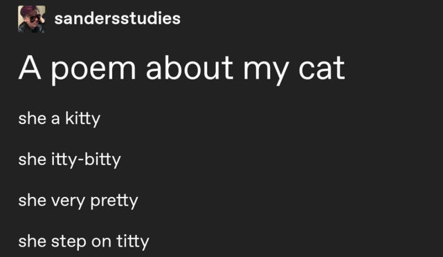 angle - fu sandersstudies A poem about my cat she a kitty she ittybitty she very pretty she step on titty