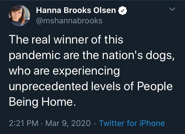 sky - Hanna Brooks Olsen The real winner of this pandemic are the nation's dogs, who are experiencing unprecedented levels of People Being Home. Twitter for iPhone