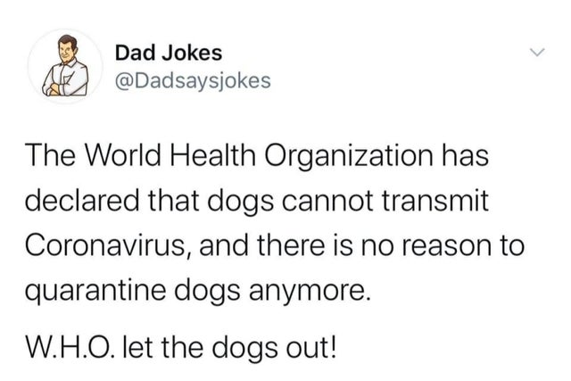 kpopmeme - Dad Jokes The World Health Organization has declared that dogs cannot transmit Coronavirus, and there is no reason to quarantine dogs anymore. W.H.O. let the dogs out!