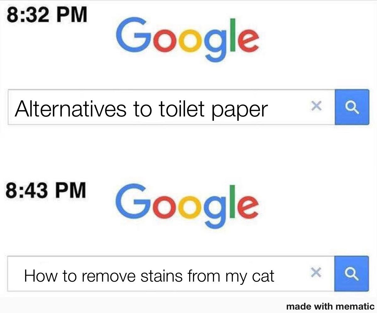 google - Google Alternatives to toilet paper X Q Google How to remove stains from my cat X Q made with mematic