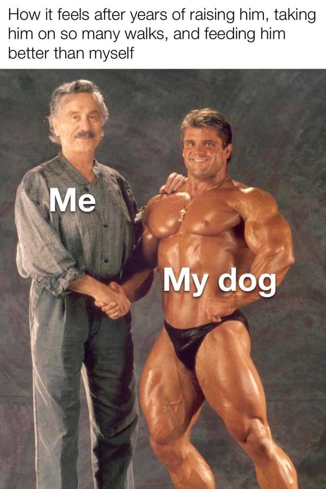 bodybuilding - How it feels after years of raising him, taking him on so many walks, and feeding him better than myself Me My dog