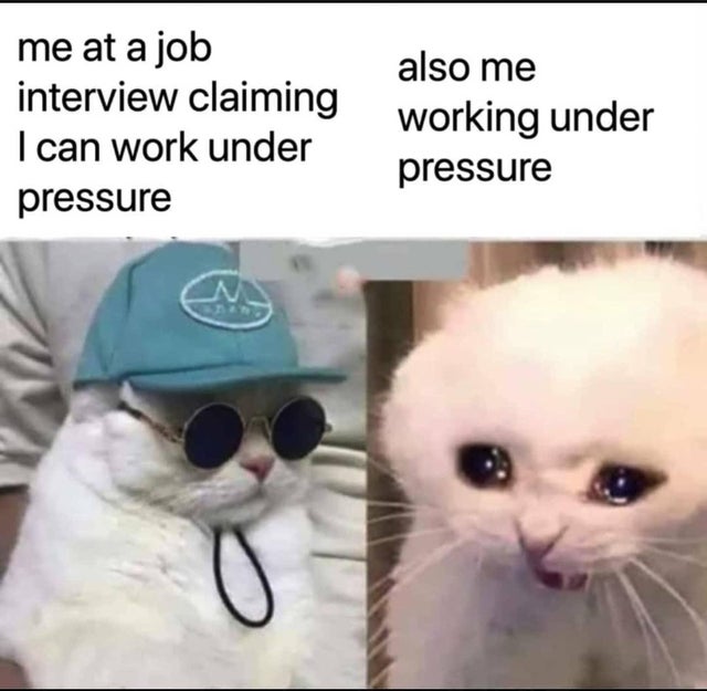 me at a job interview claiming I can work under pressure also me working under pressure