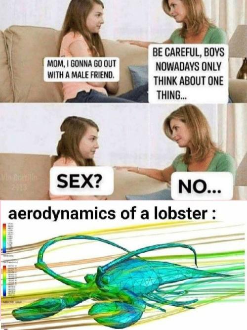 boys nowadays only think of one thing - Mom, I Gonna Go Out With A Male Friend. Be Careful, Boys Nowadays Only Think About One Thing... ist Sex? No... aerodynamics of a lobster