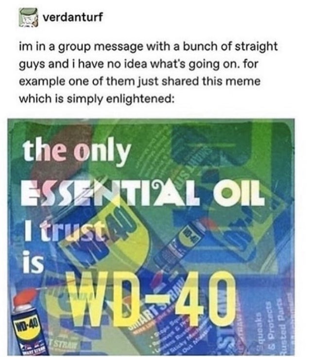 verdanturf im in a group message with a bunch of straight guys and i have no idea what's going on. for example one of them just d this meme which is simply enlightened the only Essential Oil I trust is Squeaks & Protect usted Parts