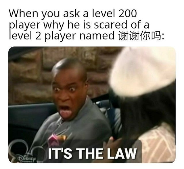 it's the law meme - When you ask a level 200 player why he is scared of a level 2 player named 13 05 It'S The Law
