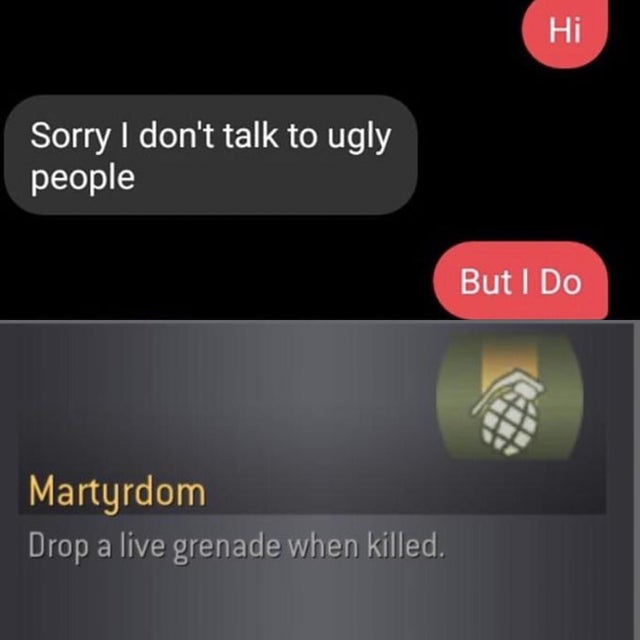 multimedia - Sorry I don't talk to ugly people But I Do Martyrdom Drop a live grenade when killed.