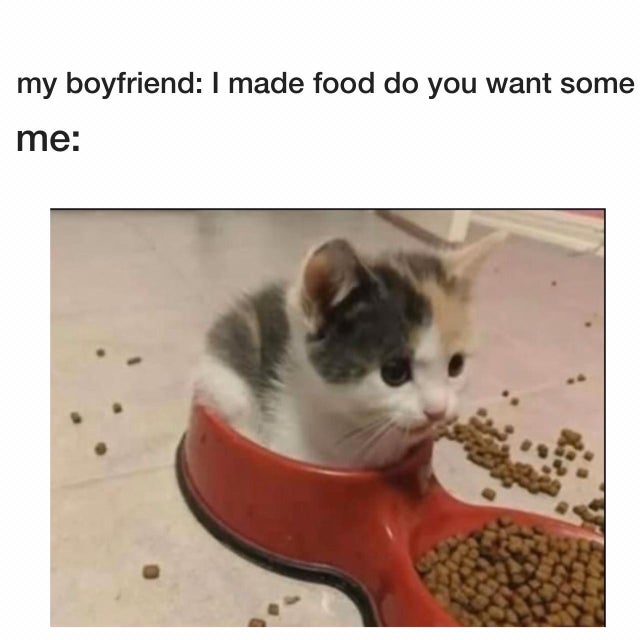 photo caption - my boyfriend I made food do you want some me