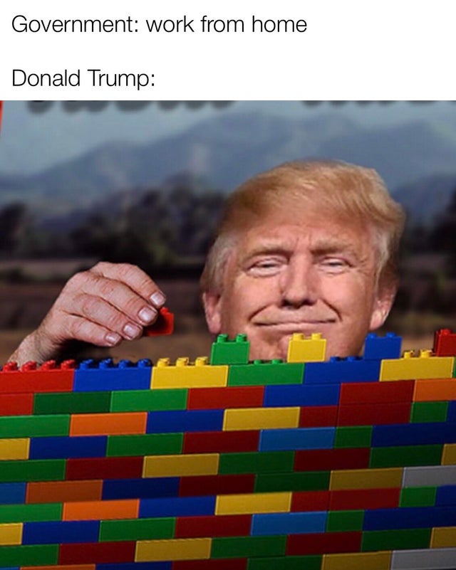 trump wall meme - Government work from home Donald Trump