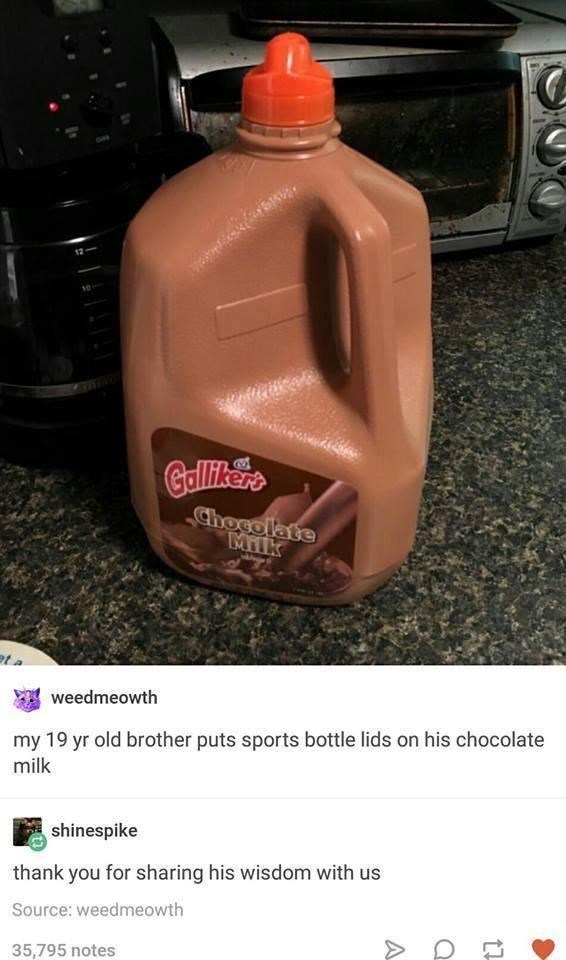 funny chocolate milk meme - Caln Chocolate 2 weedmeowth my 19 yr old brother puts sports bottle lids on his chocolate milk shinespike thank you for sharing his wisdom with us Source weedmeowth 35,795 notes