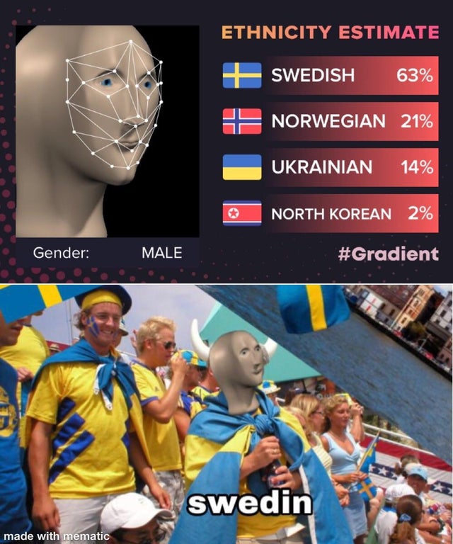 PewDiePie - Ethnicity Estimate Swedish 63% Norwegian 21% Ukrainian 14% North Korean 2% Gender Male swedin made with mematic