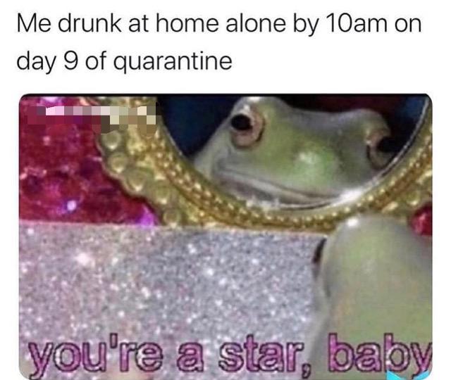 youre a star baby frog - Me drunk at home alone by 10am on day 9 of quarantine you're a star, baby