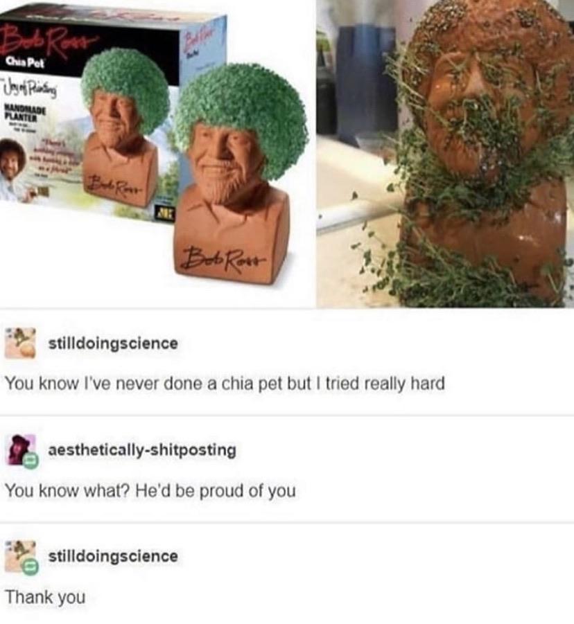 bob ross chia pet - Bebek Pet Joy of Printing Wandmade stilldoingscience You know I've never done a chia pet but I tried really hard aestheticallyshitposting You know what? He'd be proud of you stilldoingscience Thank you