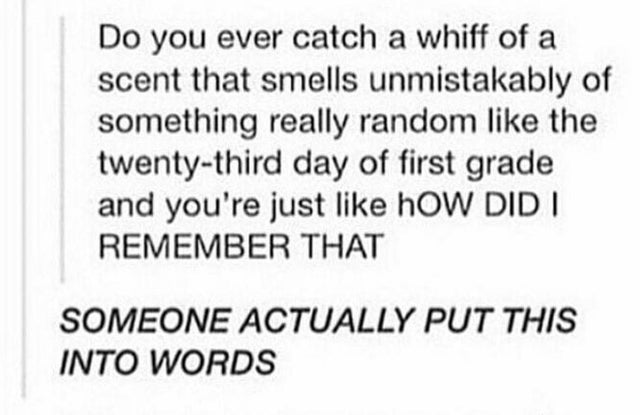 Do you ever catch a whiff of a scent that smells unmistakably of something really random the twentythird day of first grade and you're just How Did I Remember That Someone Actually Put This Into Words