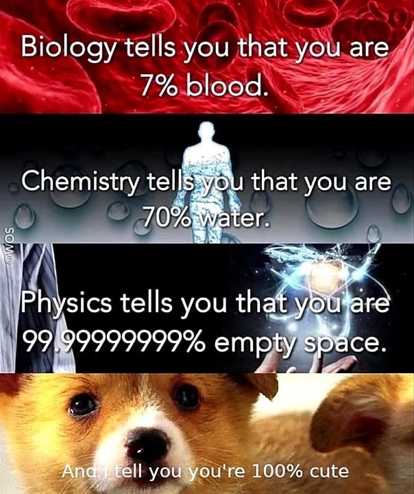 biology tells you that you are 7% blood - Biology tells you that you are 7% blood. Chemistry tells you that you are 70% water. Somo Physics tells you that you are 99.99999999% empty space. And I tell you you're 100% cute
