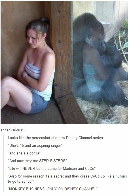 disney channel tumblr posts - shitshilarious Looks the screenshot of a new Disney Channel series "She's 15 and an aspiring singer" "and she's a gorilla" "And now they are StepSisters" "Life will Never be the same for Madison and CoCo "Also for some reason