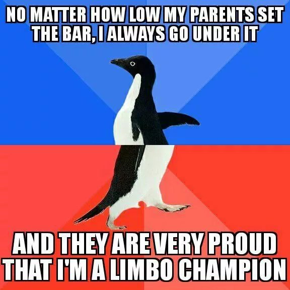 penguin - No Matter How Low My Parents Set The Bar I Always Go Underit And They Are Very Proud That I'M A Limbo Champion
