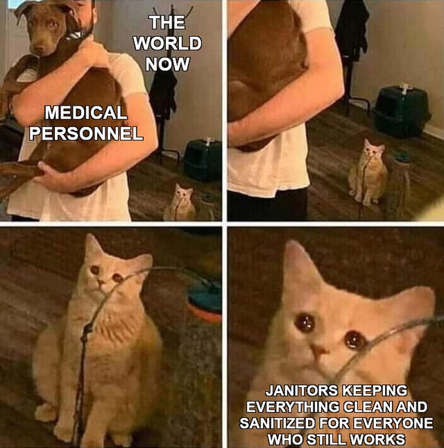 betrayed cat meme - The World Now Medical Personnel Janitors Keeping Everything Clean And Sanitized For Everyone Who Still Works