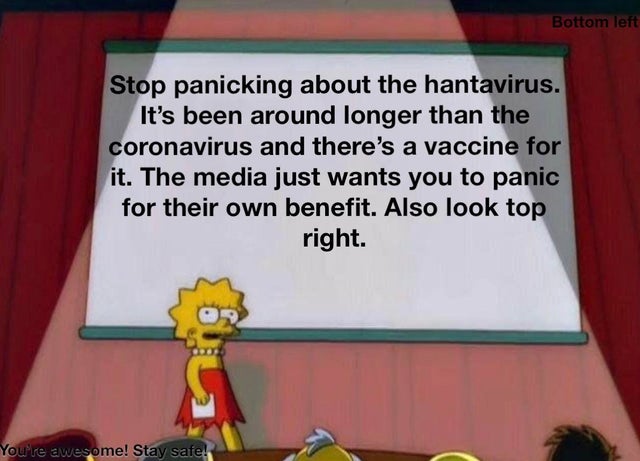 lisa simpson meme - Bottom left Stop panicking about the hantavirus. It's been around longer than the coronavirus and there's a vaccine for it. The media just wants you to panic for their own benefit. Also look top right. You're awesome! Stay safe!