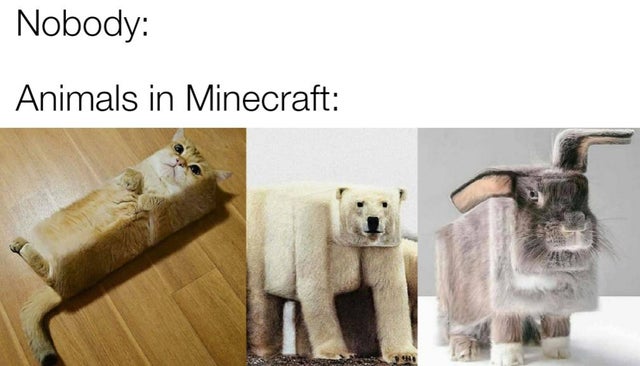 pet - Nobody Animals in Minecraft