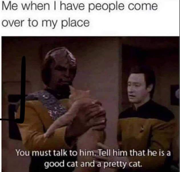 star trek next generation memes - Me when I have people come over to my place You must talk to him. Tell him that he is a good cat and a pretty cat.