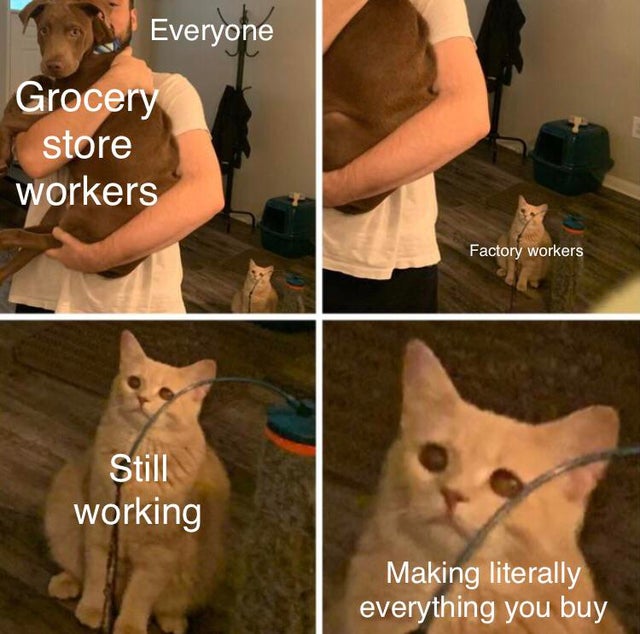sad cat meme template - Everyone Grocery store workers Factory workers Still working Making literally everything you buy