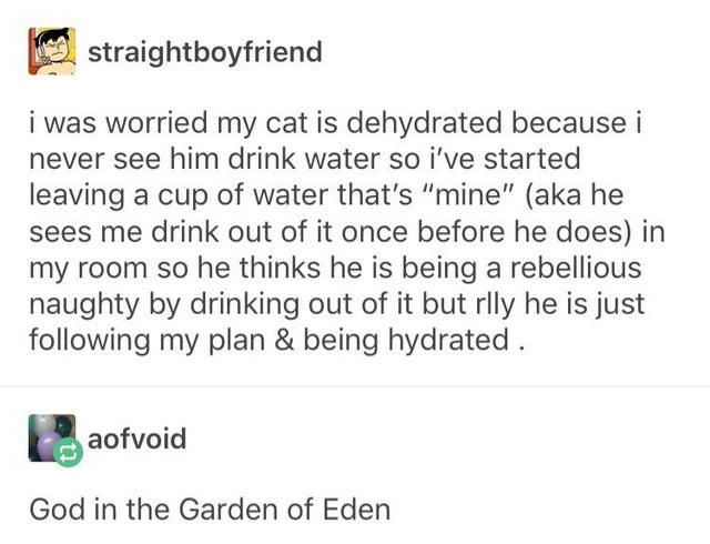 document - straightboyfriend i was worried my cat is dehydrated because i never see him drink water so i've started leaving a cup of water that's "mine" aka he sees me drink out of it once before he does in my room so he thinks he is being a rebellious na