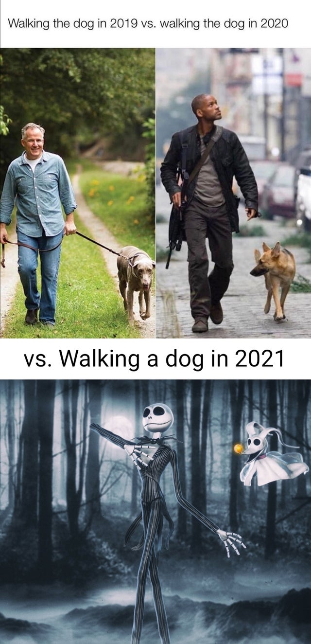 Dog - Walking the dog in 2019 vs. walking the dog in 2020 vs. Walking a dog in 2021