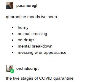 angle - paramoregf quarantine moods ive seen horny animal crossing on drugs mental breakdown messing w ur appearance orchidscript the five stages of Covid quarantine