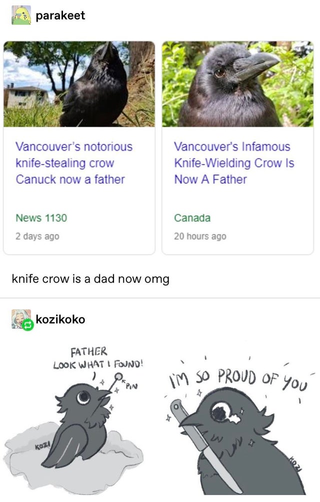 crow with knife - parakeet Vancouver's notorious knifestealing crow Canuck now a father Vancouver's Infamous KnifeWielding Crow ls Now A Father Canada News 1130 2 days ago 20 hours ago knife crow is a dad now omg kozikoko Father Look What I Found! Im So P