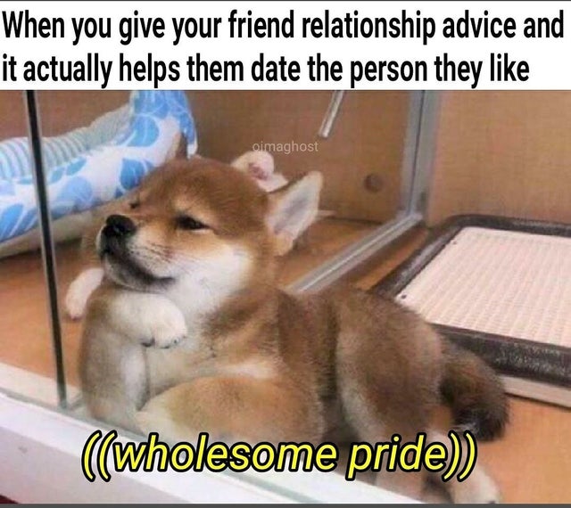 When you give your friend relationship advice and it actually helps them date the person they imaghost llwholesome pride