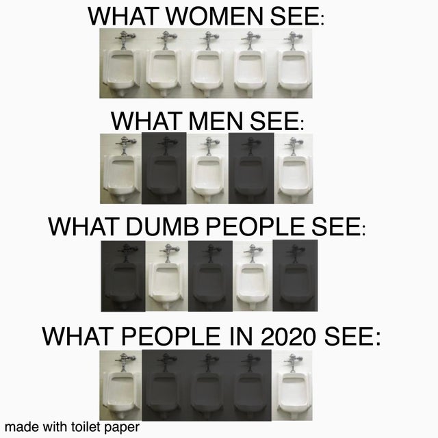 electronic component - What Women See What Men See What Dumb People See What People In 2020 See made with toilet paper