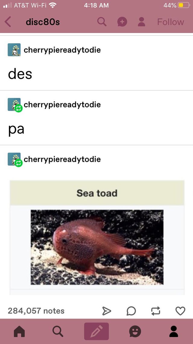 sea toad meme - .At&T WiFi disc80s 44% 0 a cherrypiereadytodie des cherrypiereadytodie pa cherrypiereadytodie Sea toad 284,057 notes > D e o