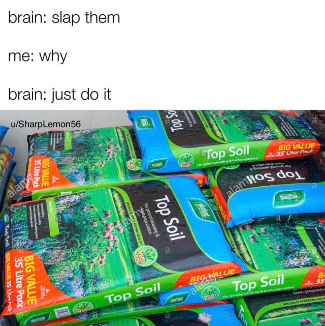 plastic - brain slap them me why brain just do it uSharpLemon56 a Jod Big Value 35 Le Pack "Top Soil Weating down Ves og 35 litre Pack Big Value milos doj Ws Unit Tonern High Doli preparation for general planting & Top Soil X.Com Too Soil Bigvraje 35 W 35